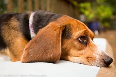 Violet 2011-72.jpg