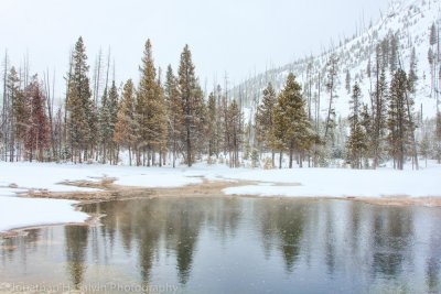 Yellowstone-1513-Edit.jpg