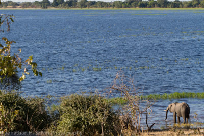 Botswana 2012-144.jpg