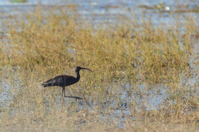 Botswana 2012-30.jpg