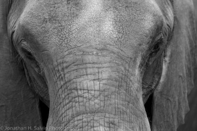 Botswana 2012-407-Edit.jpg