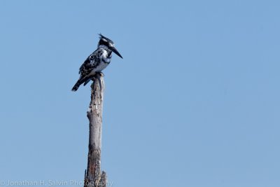 Botswana 2012-579.jpg