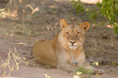 Botswana 2012-863.jpg