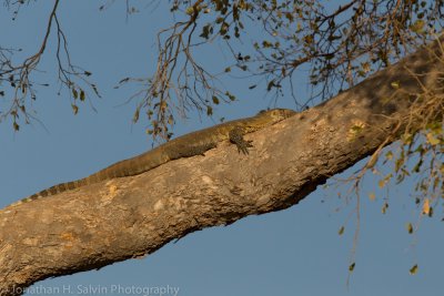 Botswana 2012-979.jpg