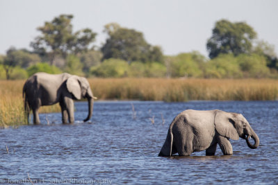 Botswana 2012-1944.jpg