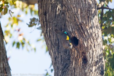 Botswana 2012-2064.jpg