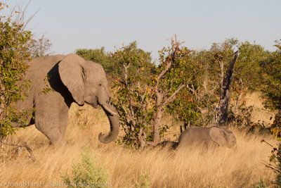 Botswana 2012-2093.jpg