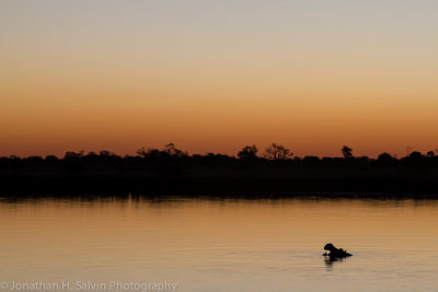 Botswana 2012-2363.jpg