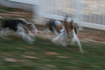 2006_0316.jpg