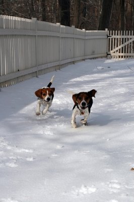 2007_0178.jpg