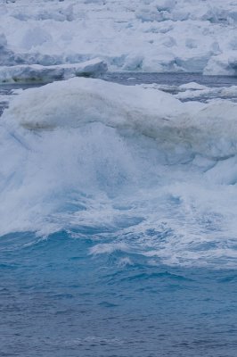 ANTARCTICARAW_0158.jpg