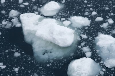 ANTARCTICARAW_0168.jpg