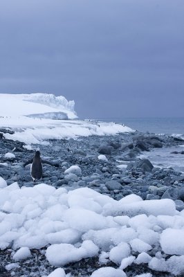 antarcticaraw_1430.jpg