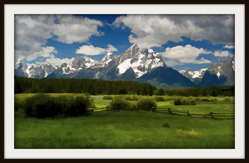 Teton Meadow and fence.jpg