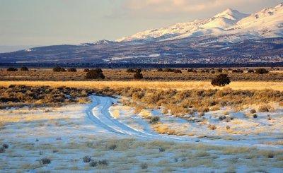 Desert Highway.