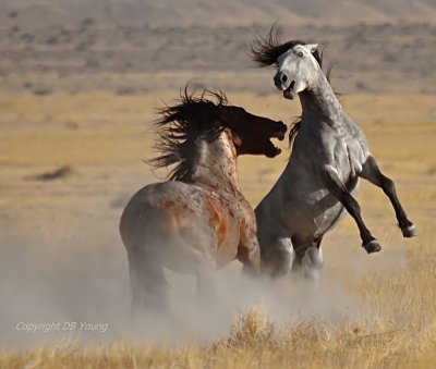 Fight scene