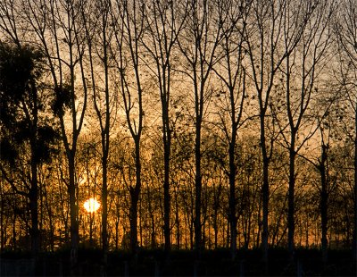 Sunset Breaks