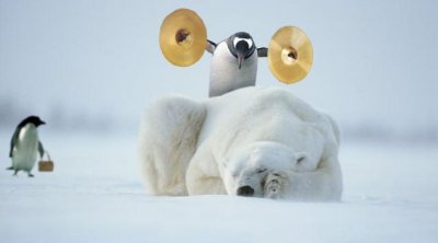 Brave Mr. Penguin