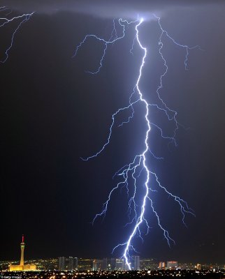 Las Vegas Lightning