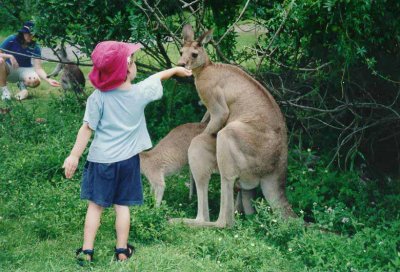 Not Now Kid