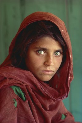 Sharbatgula