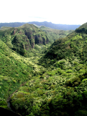 Looking Inland from the Na Pali Coast
