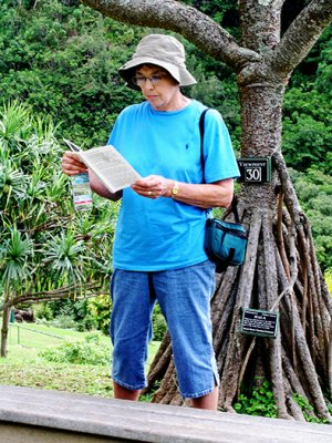 Tourist with Screwpine, Limahuli Garden