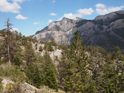 P8101864 re500.jpg