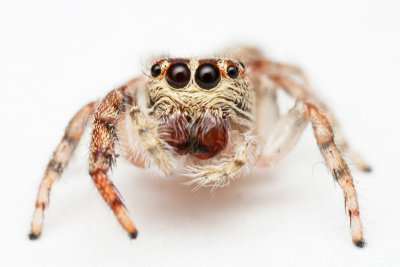 g4/79/874879/3/142999692.koAlb9sW.jpg
