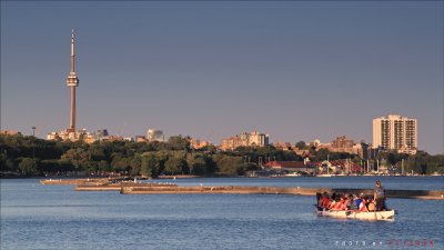 IMG_1504.jpg
