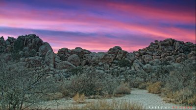 IMG_5188.jpg