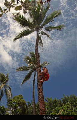 IMG_0281.jpg