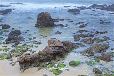 PESCADERO MARSH