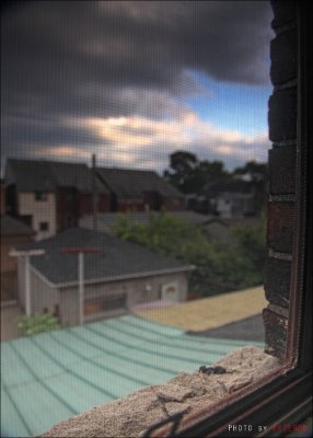 IMG_1385.jpg