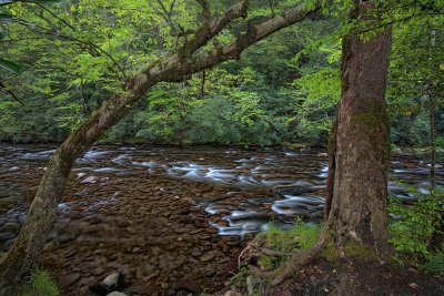 Deep Creek Riffle - Smokey Mountain National Park