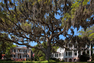 Mansions and Oaks - Beaufort, South Carolina