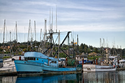 Prospector - Newport, Oregon