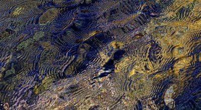 Wind on Water - Point Lobos, California