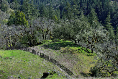 Field and Fence - Skaggs Road, Sonoma County, California