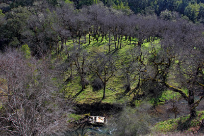 Car in Creek - Skaggs Road - Sonoma County - California