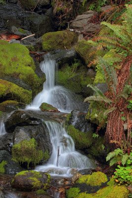 Falls - Near Brookings, Oregon
