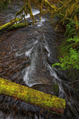 Keller Creek - Yachats, Oregon