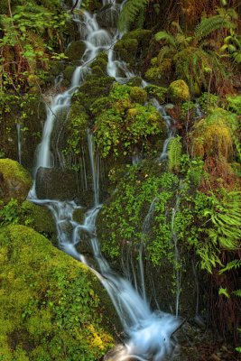 Falls - Near Brookings, Oregon