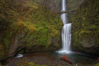 Multnomah Falls - Columbia Gorge, Oregon