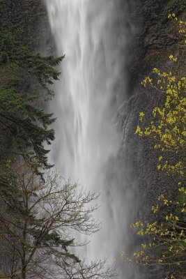 Multnomah Falls - Columbia Gorge, Oregon