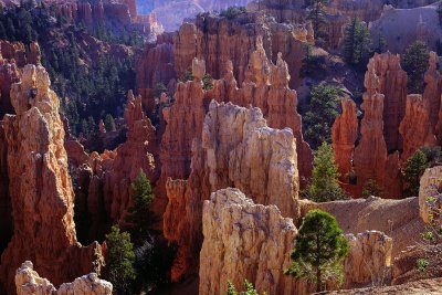 Queens Garden - Bryce Canyon, Utah