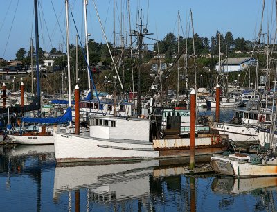 Brookings Harbor, Oregon