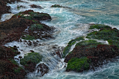 McKerrricher State Park, California