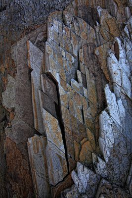  Stone Wall - Montana de Oro State Park, California