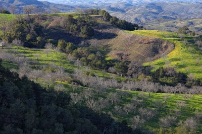View from Daou Winery - Paso Robles, California